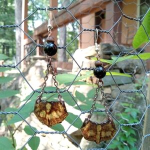 Unique Box Turtle Shell Dangle Earrings